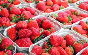 Obst & Gemüsehof Wurbs Erdbeeren