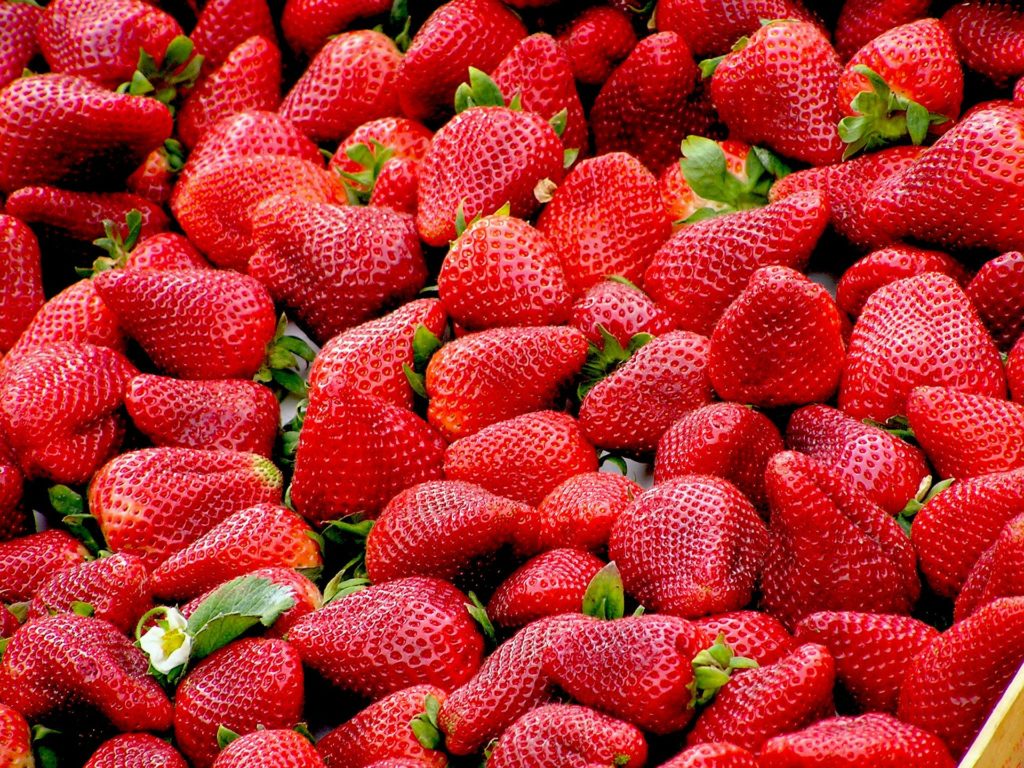 Obst & Gemüsehof Wurbs Erdbeeren